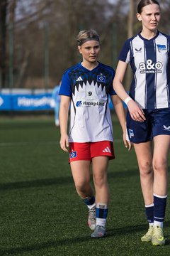 Bild 381 - wBJ Hamburger SV - Hertha BSC : Ergebnis: 2:1
